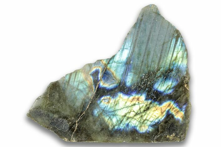 Single Side Polished Labradorite Section - Madagascar #324662